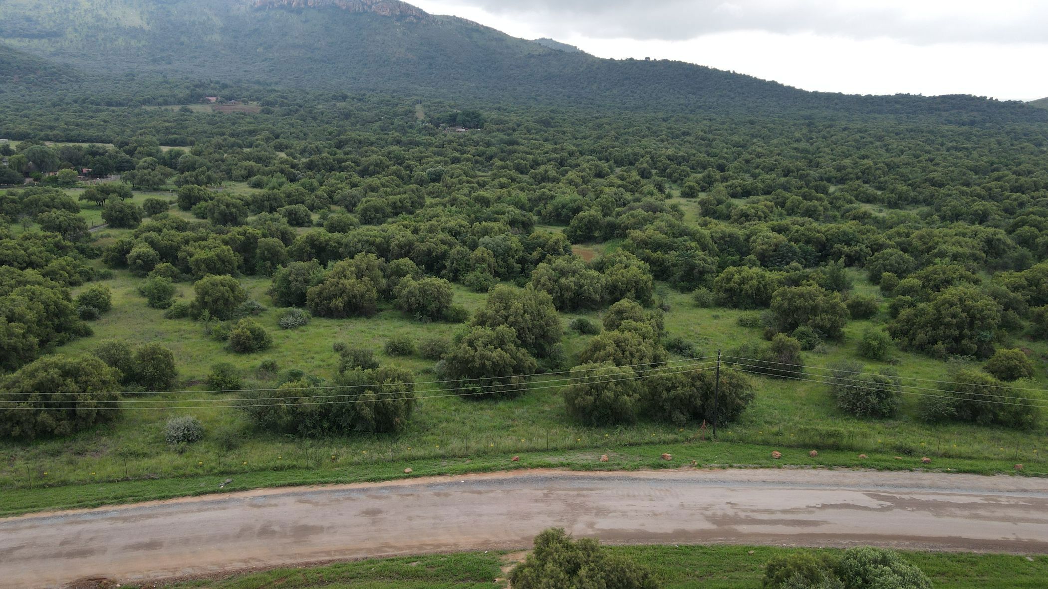 Farm vacant land for sale in Olifantsnek - 1RU1653254
