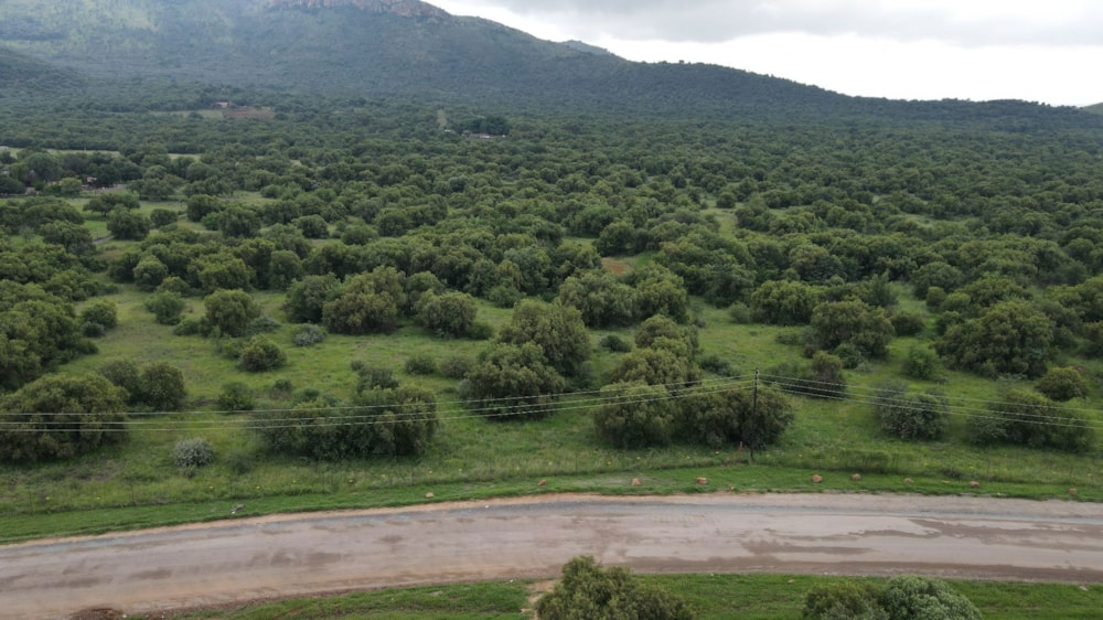 Farm vacant land for sale in Olifantsnek - 1RU1653254