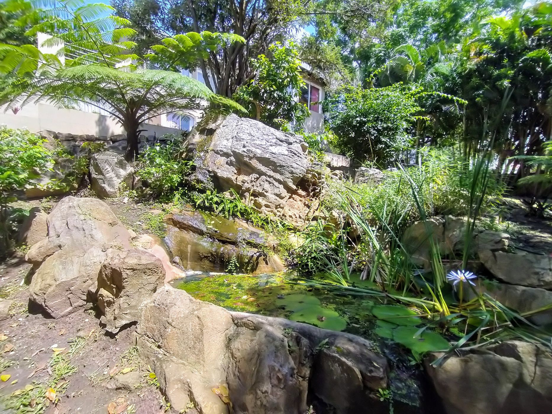 House for sale in Margate - 1PSH1661847