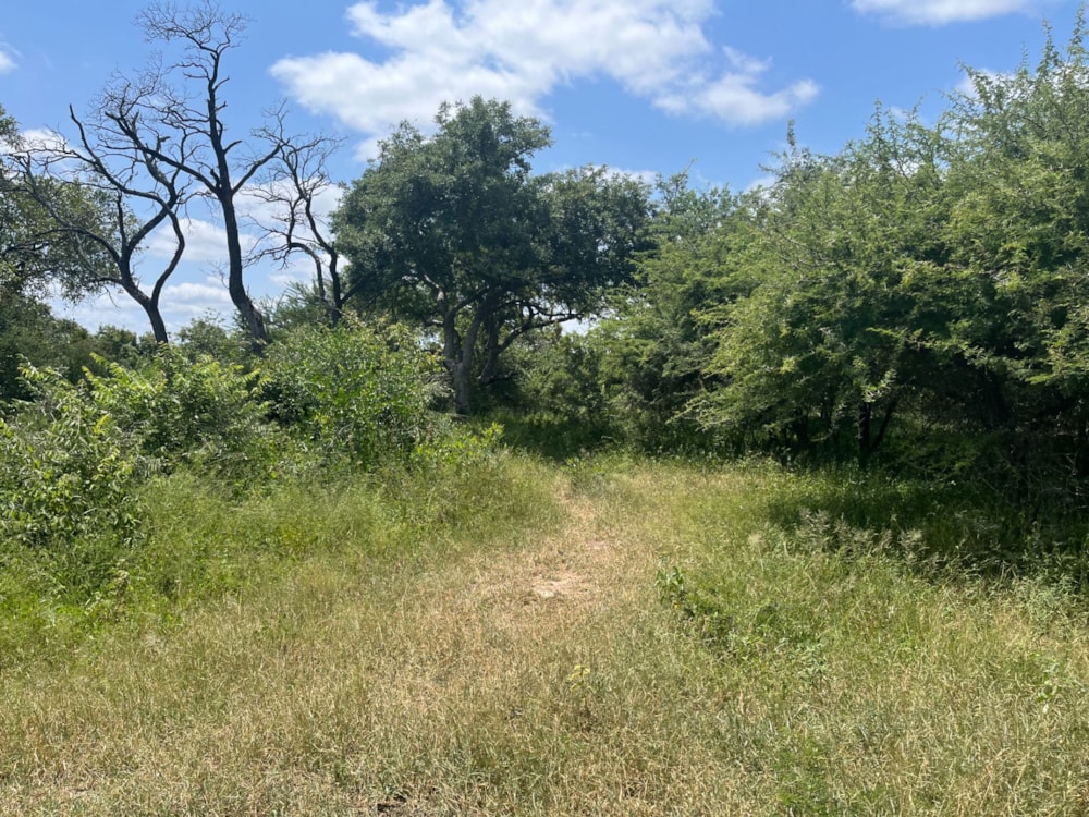 Vacant land for sale in Moditlo Nature Reserve - 1HS1693214