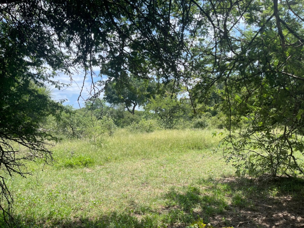 Vacant land for sale in Moditlo Nature Reserve - 1HS1693214