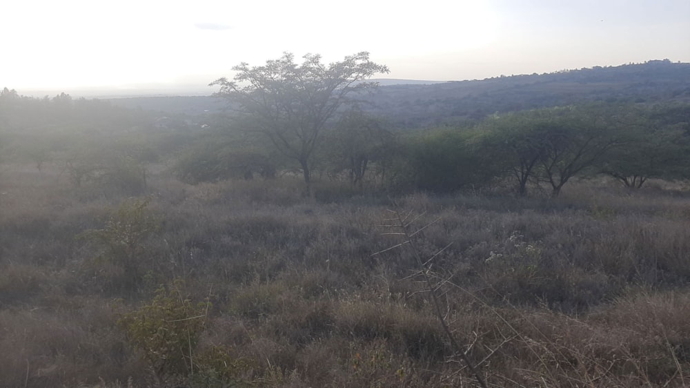 Residential vacant land for sale in Athi River, Kenya - 3KE1684763