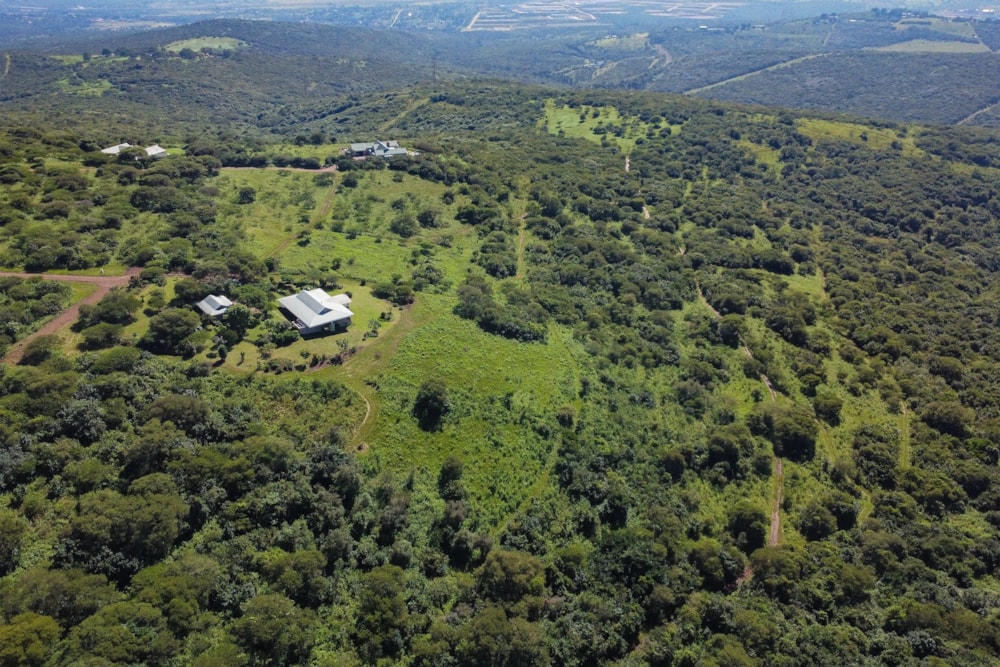 House for sale in Manderston, Camperdown - 1PM1677616