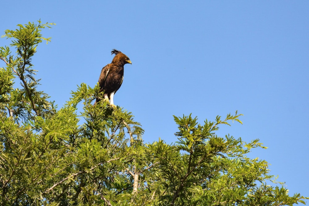House for sale in Manderston, Camperdown - 1PM1677616