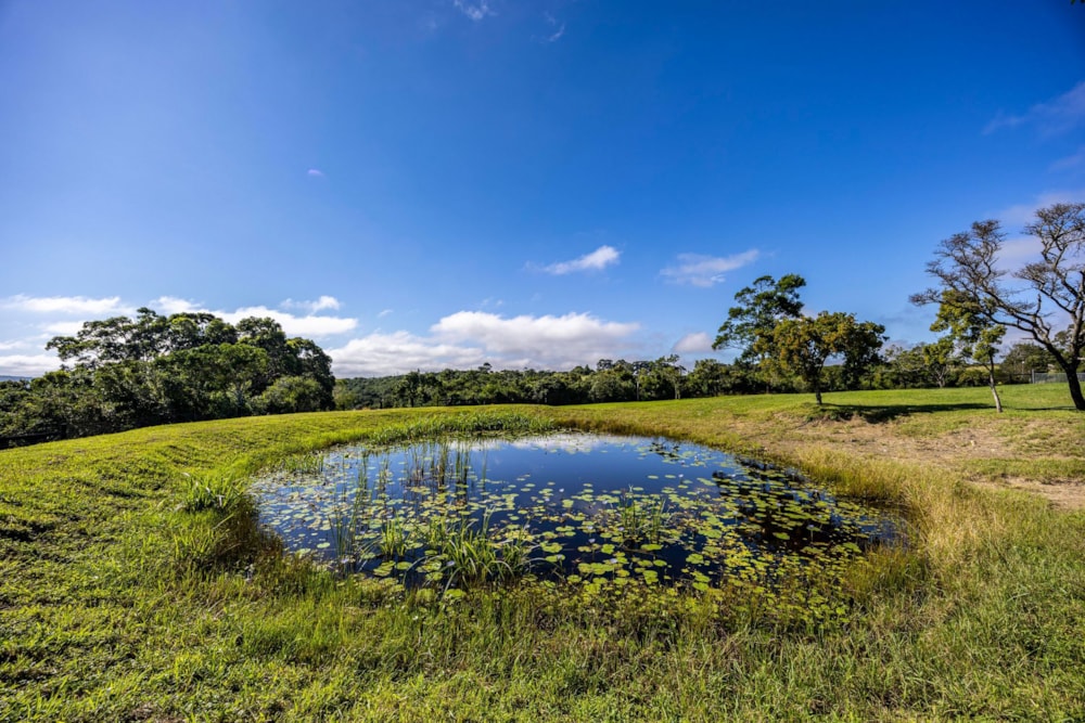 Lifestyle property for sale in East London - 1EZ1693382