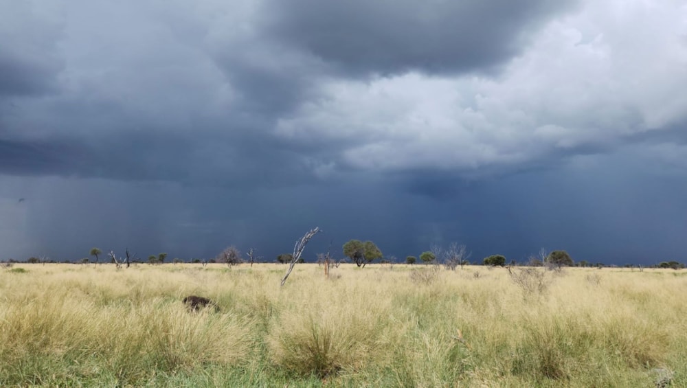 Farm vacant land for sale in Bray - 1RN1689202 Farm vacant land for sale in Bray - 1RN1689202