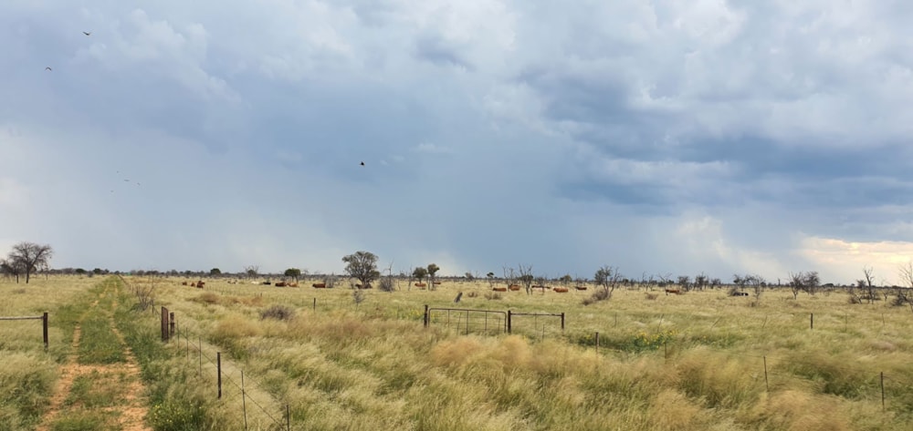 Farm vacant land for sale in Bray - 1RN1689202 Farm vacant land for sale in Bray - 1RN1689202