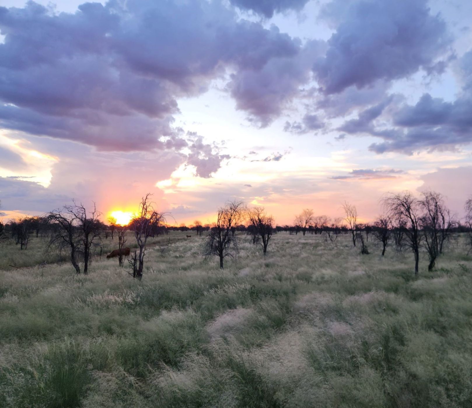 Farm vacant land for sale in Bray - 1RN1689202