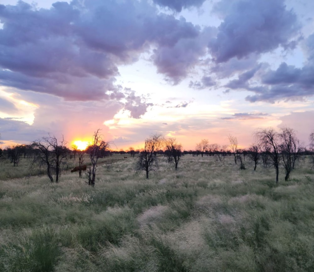 Farm vacant land for sale in Bray - 1RN1689202 Farm vacant land for sale in Bray - 1RN1689202