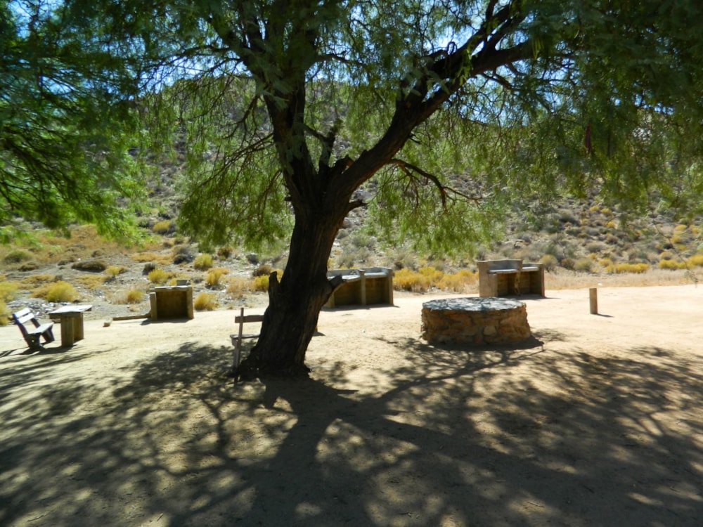 Country resort for sale in Springbok - 1NA1693966