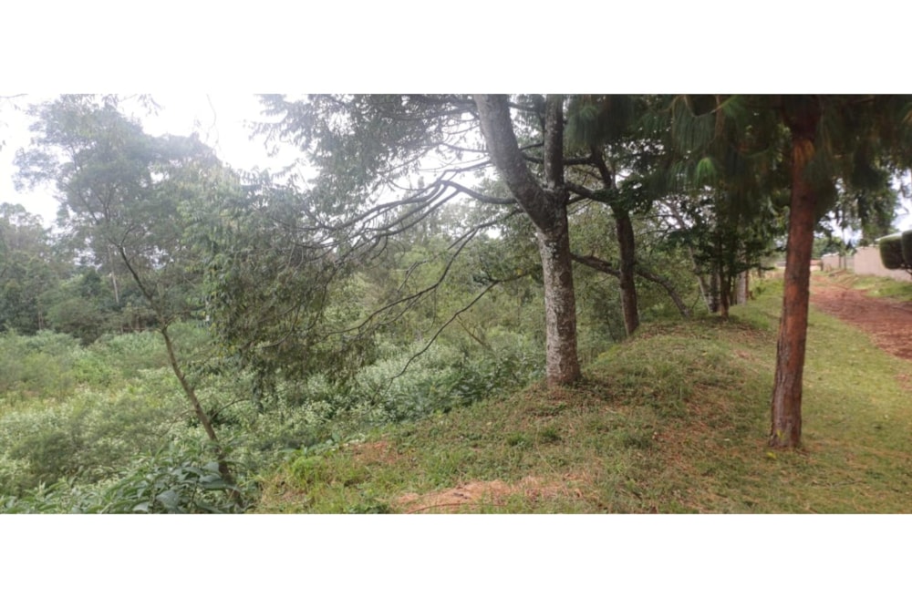 Vacant land sold in Tigoni, Kenya - 3KE1692434 Vacant land sold in Tigoni, Kenya - 3KE1692434