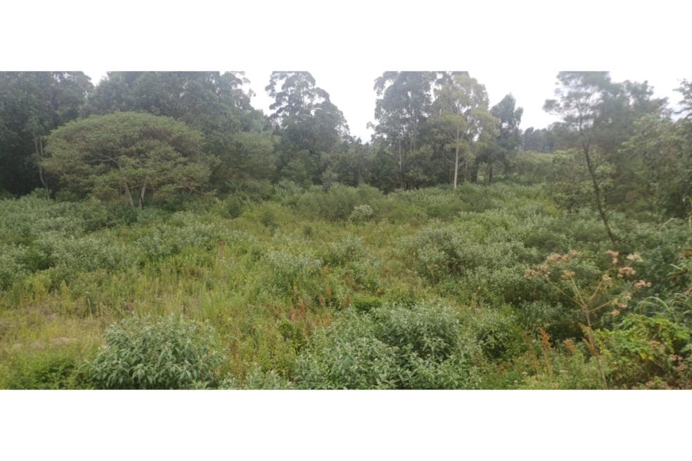 Vacant land sold in Tigoni, Kenya - 3KE1692434 Vacant land sold in Tigoni, Kenya - 3KE1692434