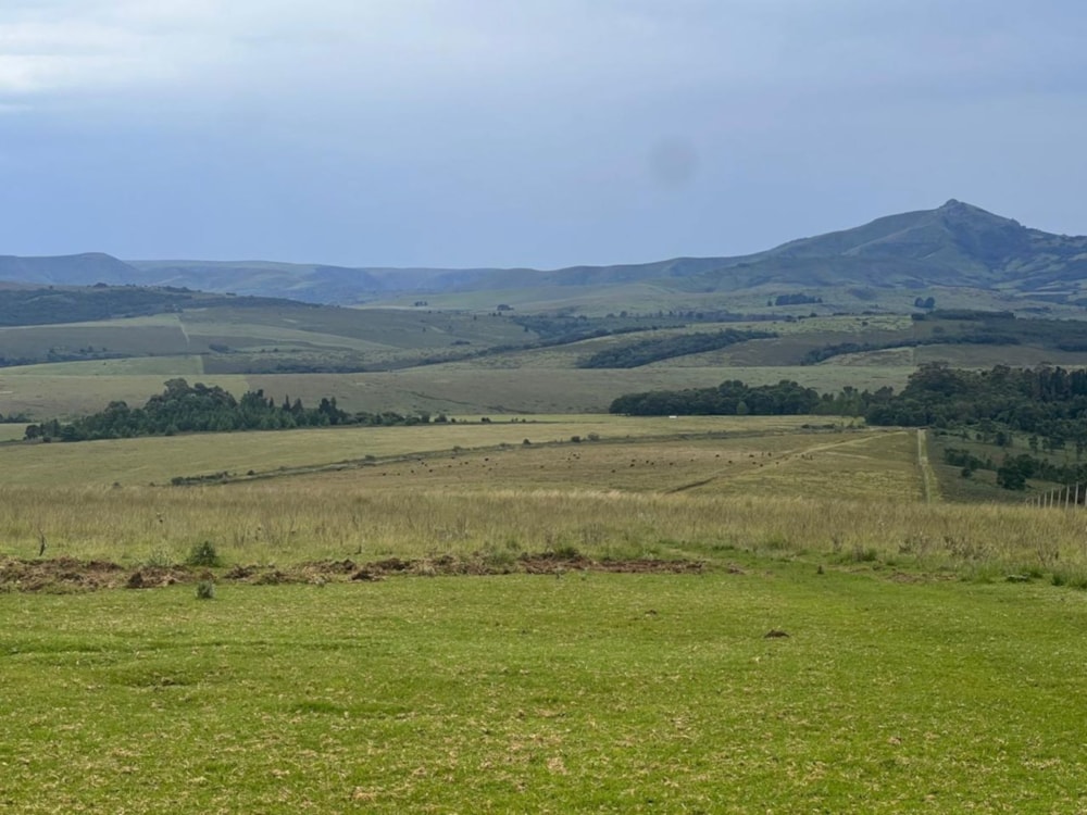 Mixed use farm for sale in Adelaide - 1GC1692447 Mixed use farm for sale in Adelaide - 1GC1692447