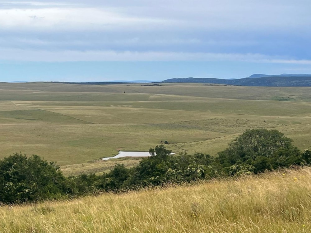 Mixed use farm for sale in Adelaide - 1GC1692447 Mixed use farm for sale in Adelaide - 1GC1692447