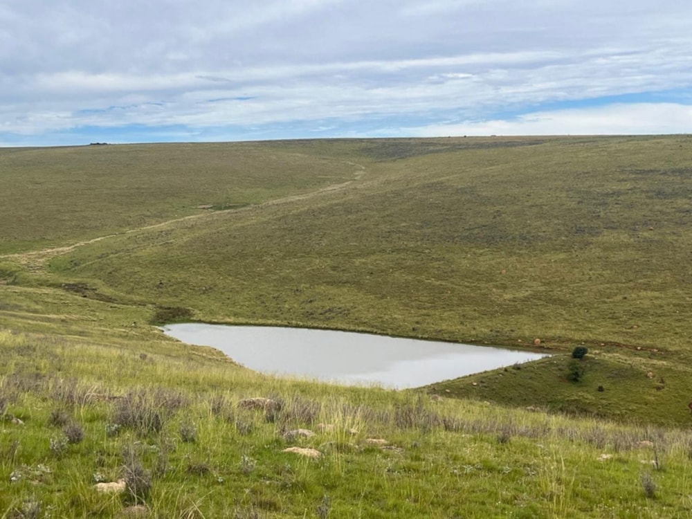 Mixed use farm for sale in Adelaide - 1GC1692447 Mixed use farm for sale in Adelaide - 1GC1692447