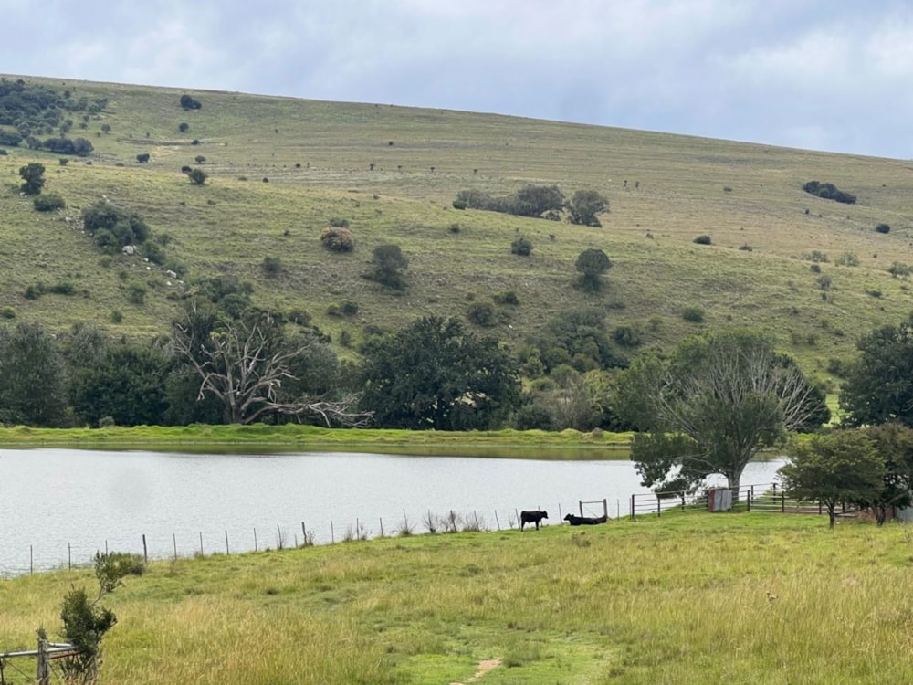 Mixed use farm for sale in Adelaide - 1GC1692447 Mixed use farm for sale in Adelaide - 1GC1692447