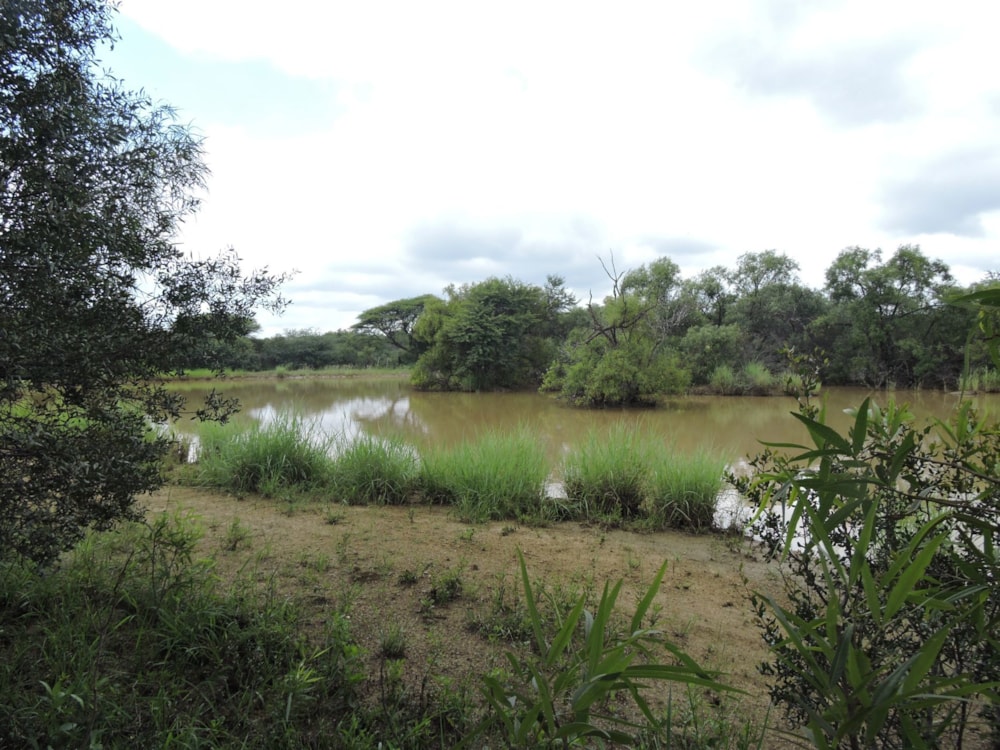 Livestock farm for sale in Groot Marico - 1RU1692773 Livestock farm for sale in Groot Marico - 1RU1692773