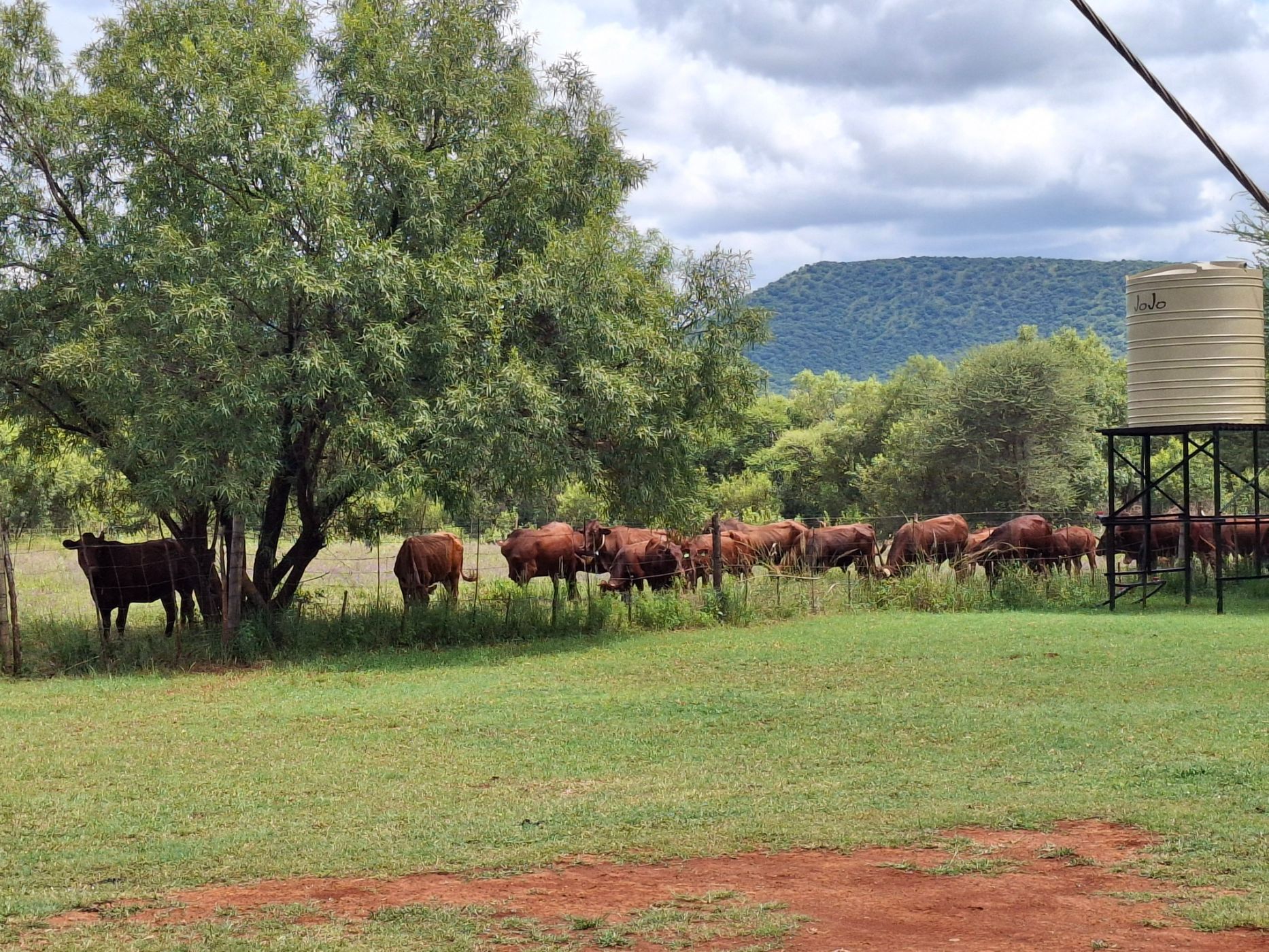 Livestock farm for sale in Groot Marico - 1RU1692773