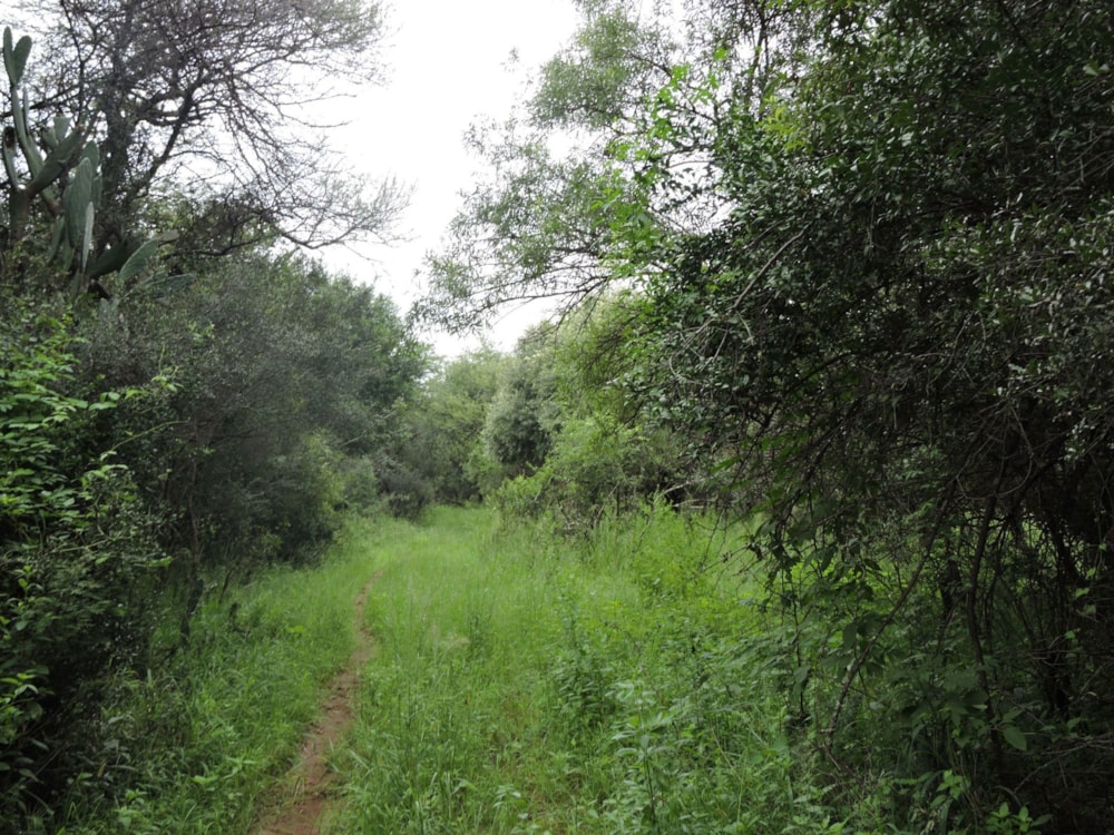 Livestock farm for sale in Groot Marico - 1RU1692773 Livestock farm for sale in Groot Marico - 1RU1692773