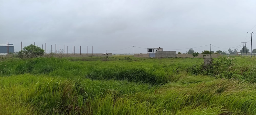 Vacant land for investment in Maputo , Mozambique - 3MQ1694388 Vacant land for investment in Maputo , Mozambique - 3MQ1694388