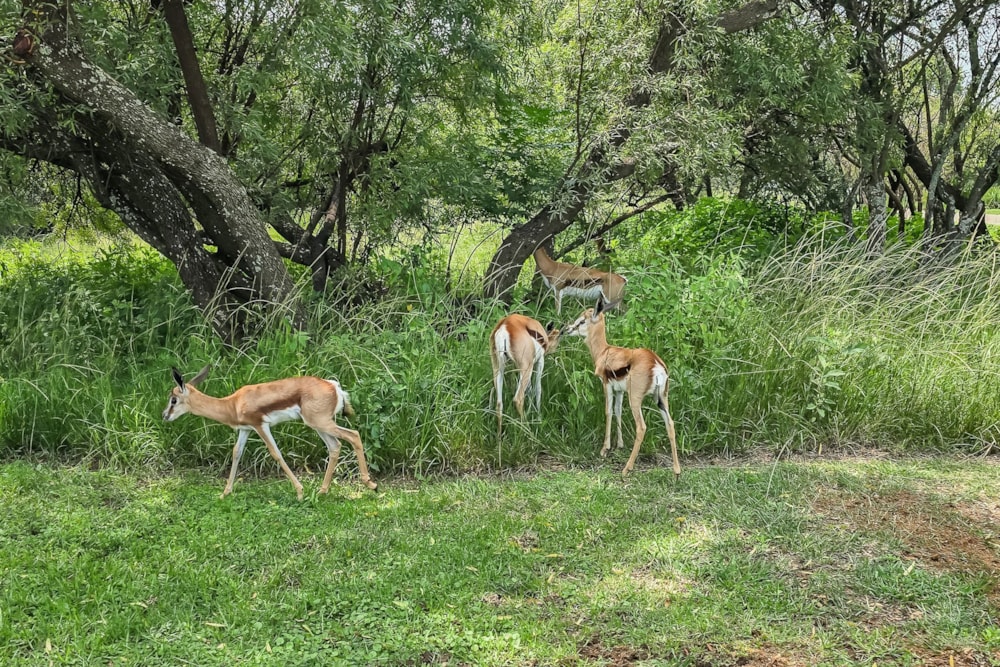 House for sale in Lakeland - 1HR1693433 House for sale in Lakeland - 1HR1693433