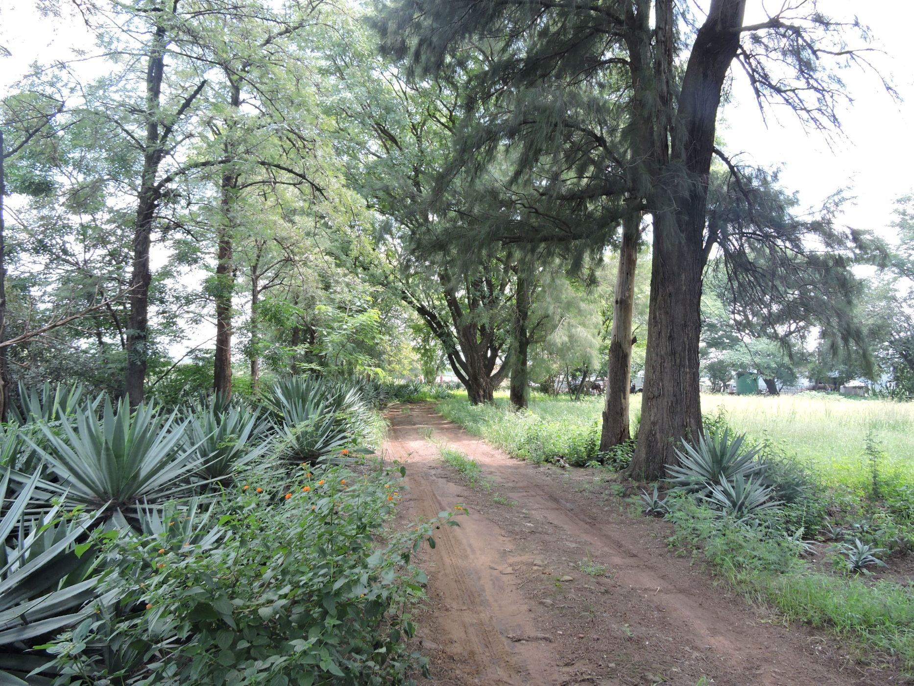 Mixed use farm for sale in Rustenburg - 1RU1692989