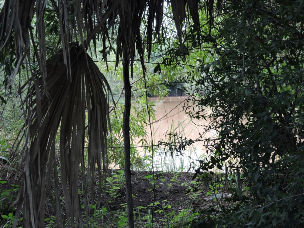 Mixed use farm for sale in Rustenburg - 1RU1692989