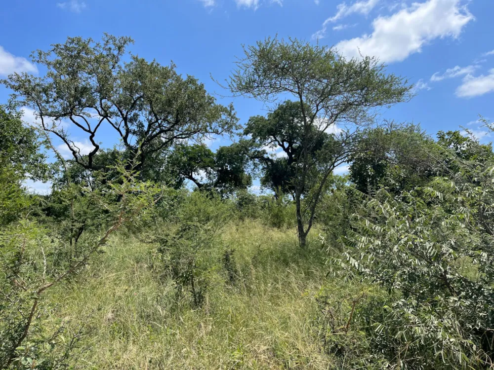 Vacant land for sale in Moditlo Nature Reserve - 1HS1693218