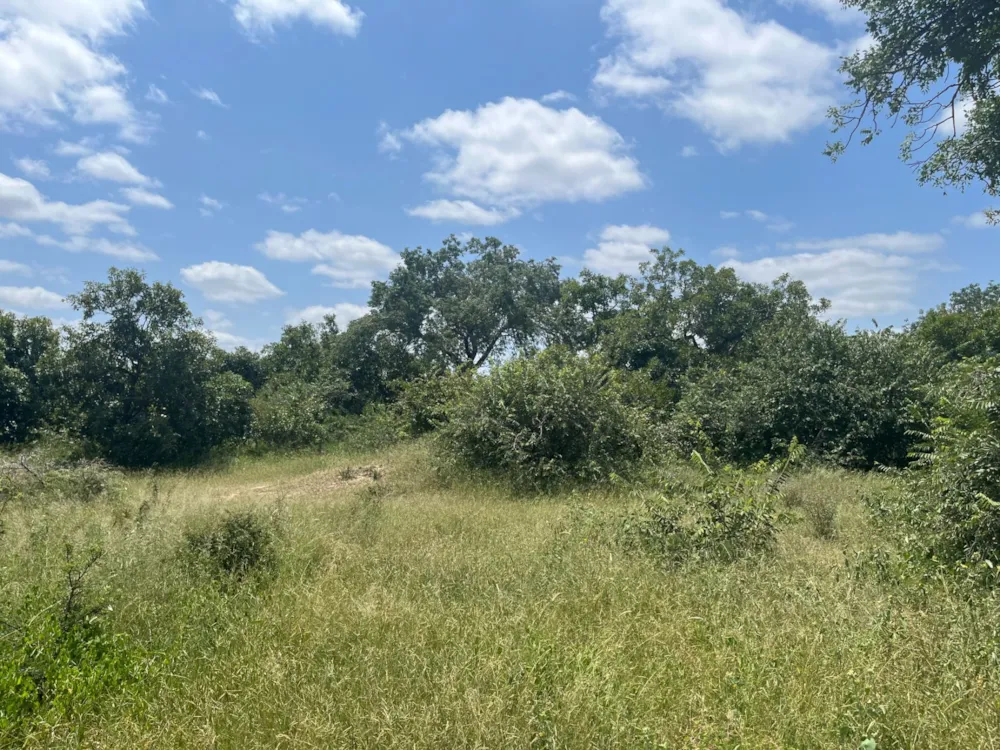 Vacant land for sale in Moditlo Nature Reserve - 1HS1693218