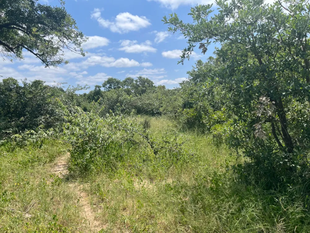 Vacant land for sale in Moditlo Nature Reserve - 1HS1693218