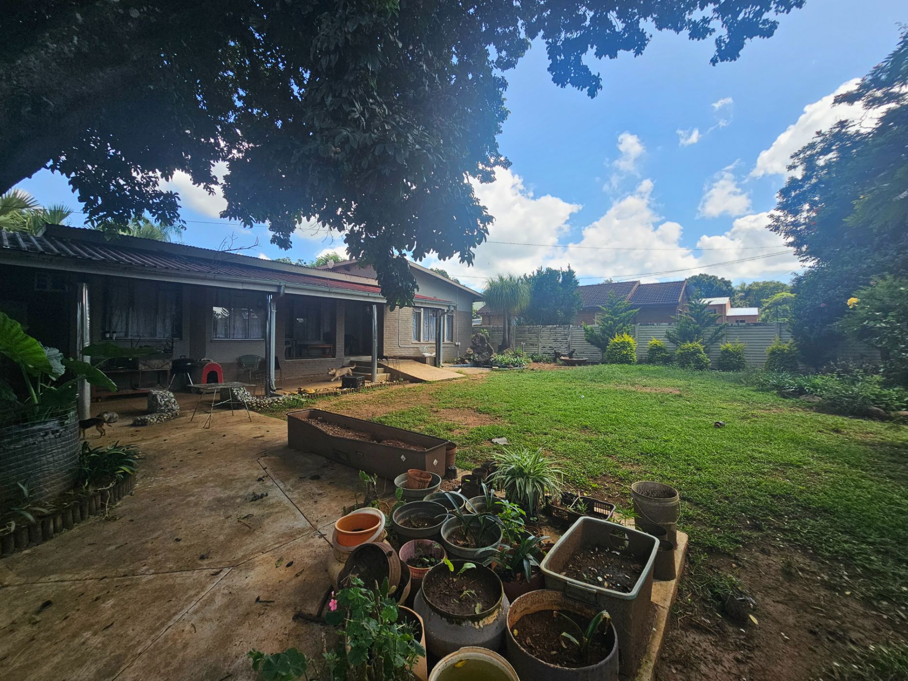 House for sale in Makhado (Louis Trichardt) - 1PS1693304