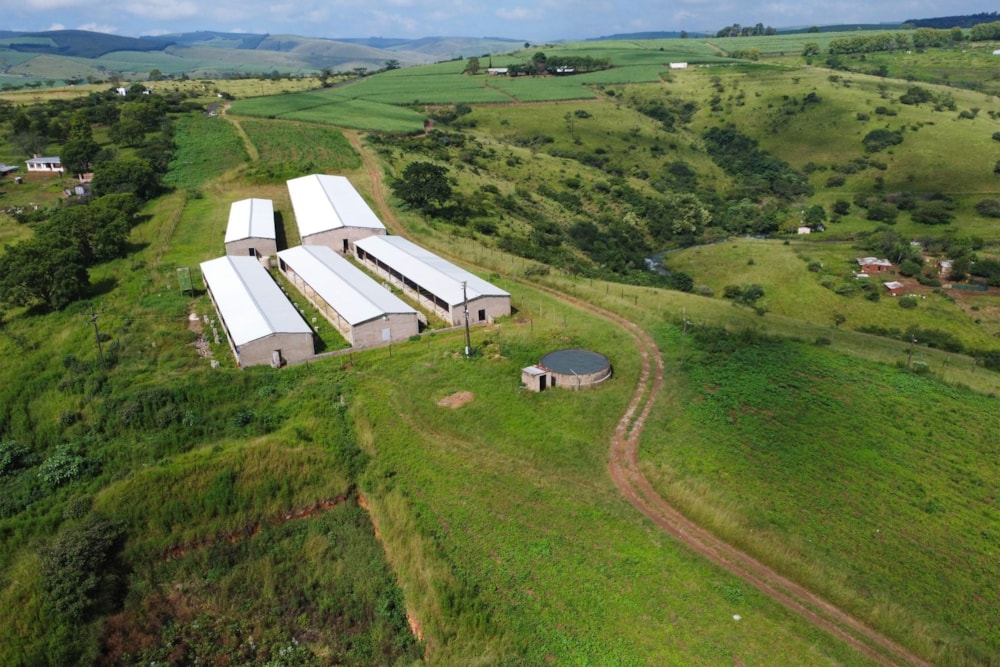 Smallholding for sale in Richmond, Midlands, Rural - 1PM1695235 Smallholding for sale in Richmond, Midlands, Rural - 1PM1695235