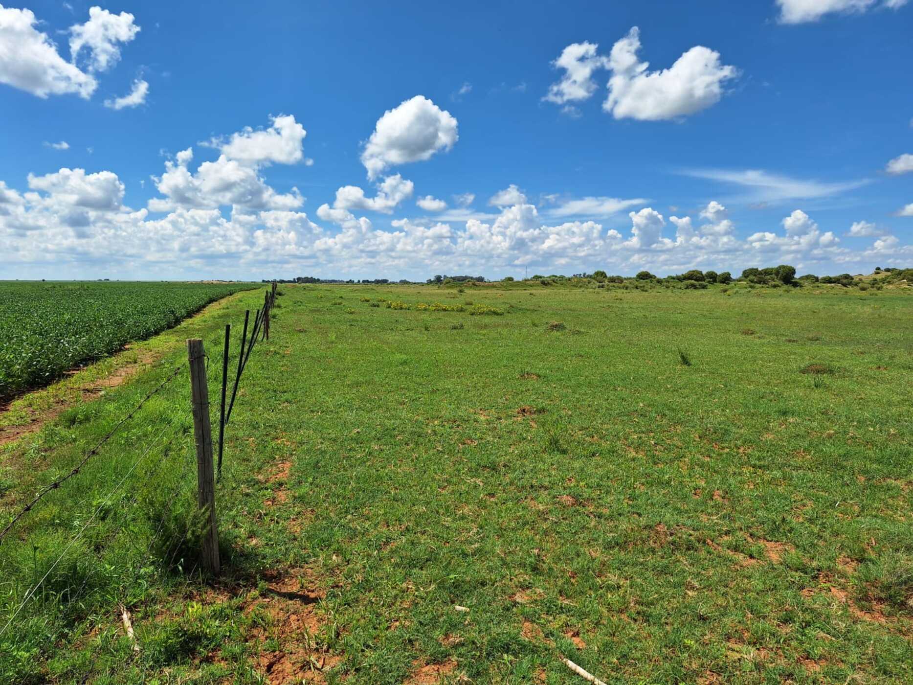 Aquaculture farm for sale in Schweizer-Reneke - 1KJ1693468