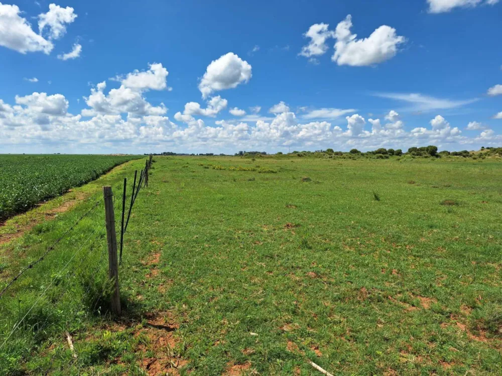 Aquaculture farm for sale in Schweizer-Reneke - 1KJ1757037
