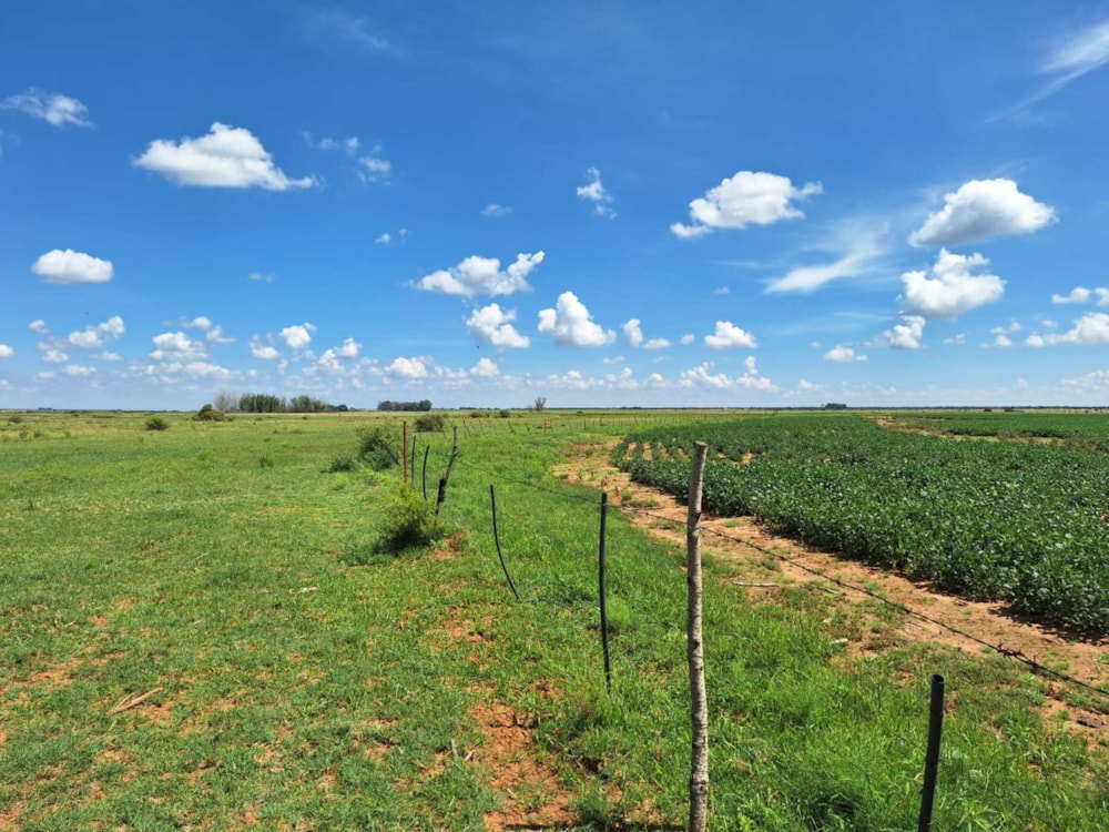 Aquaculture farm for sale in Schweizer-Reneke - 1KJ1693468 Aquaculture farm for sale in Schweizer-Reneke - 1KJ1693468