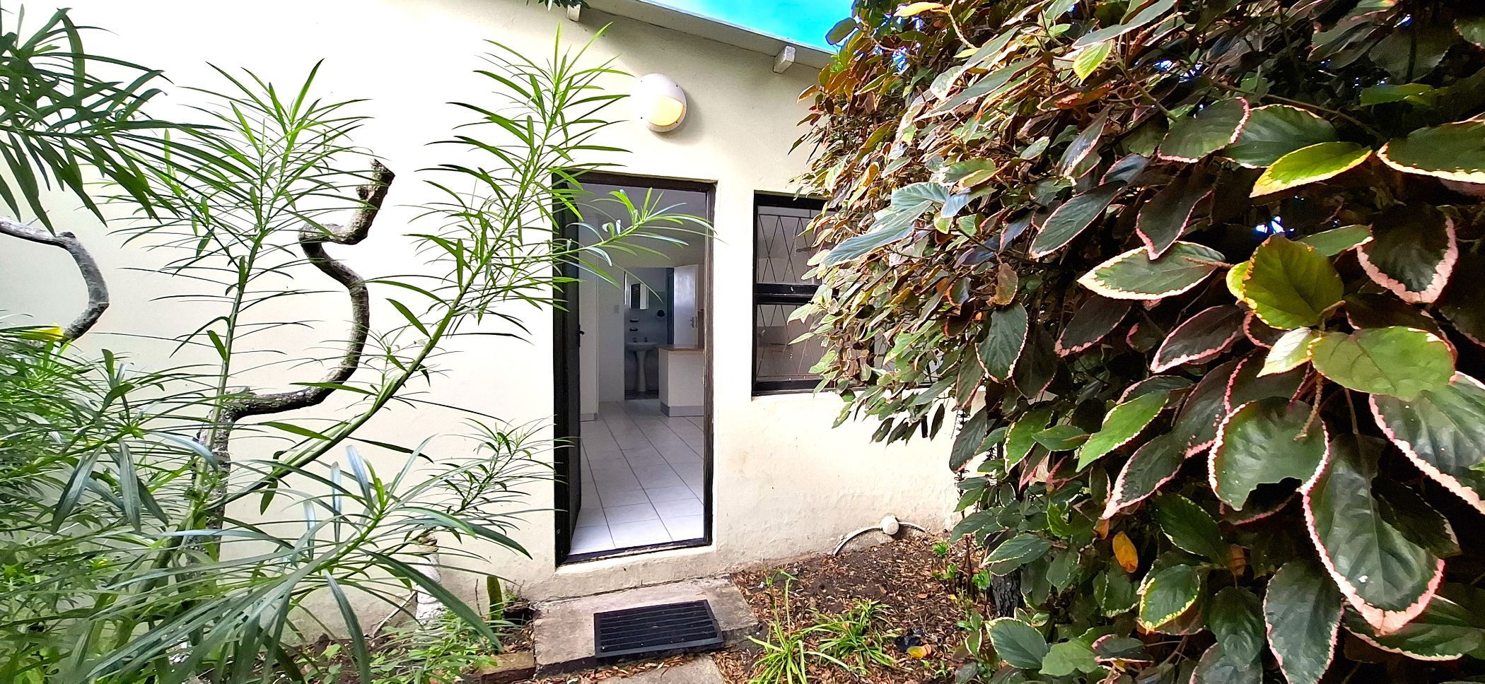 Cottage let in Schoenmakerskop, Port Elizabeth, Gqeberha - 1PLZ1693523