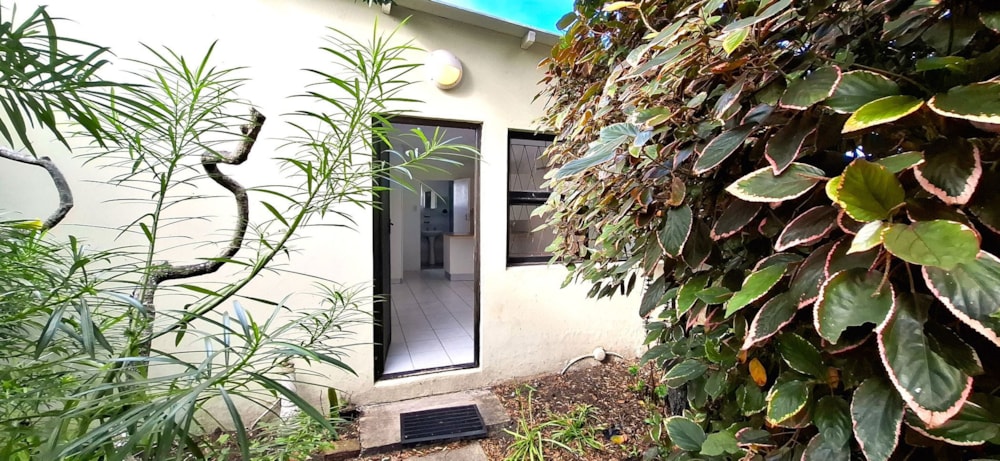 Cottage let in Schoenmakerskop, Port Elizabeth, Gqeberha - 1PLZ1693523