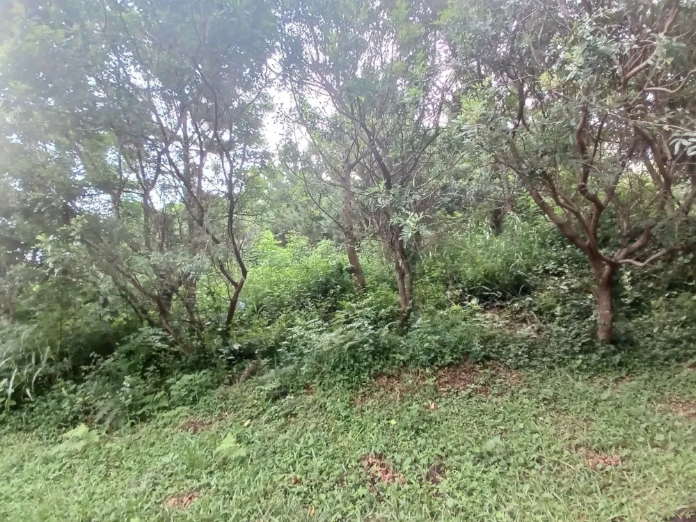 Vacant land for sale in Uvongo - 1PSH1693524 Vacant land for sale in Uvongo - 1PSH1693524