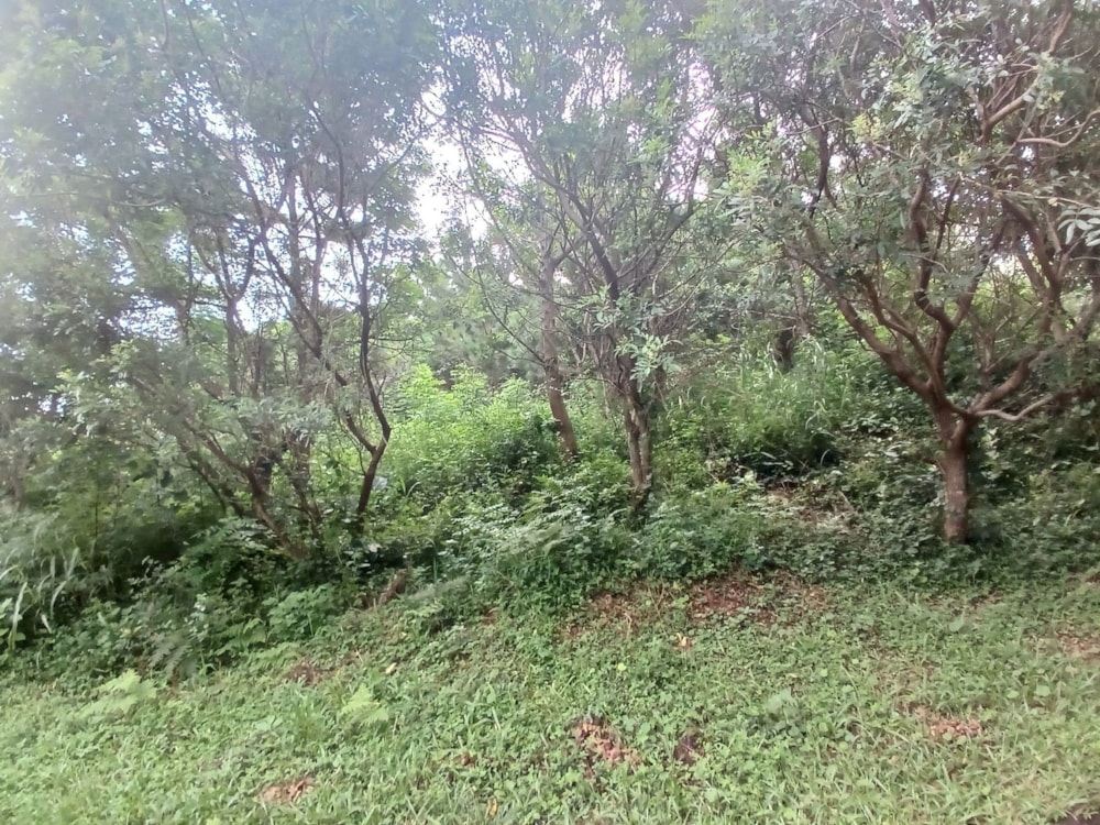 Vacant land for sale in Uvongo - 1PSH1693524 Vacant land for sale in Uvongo - 1PSH1693524