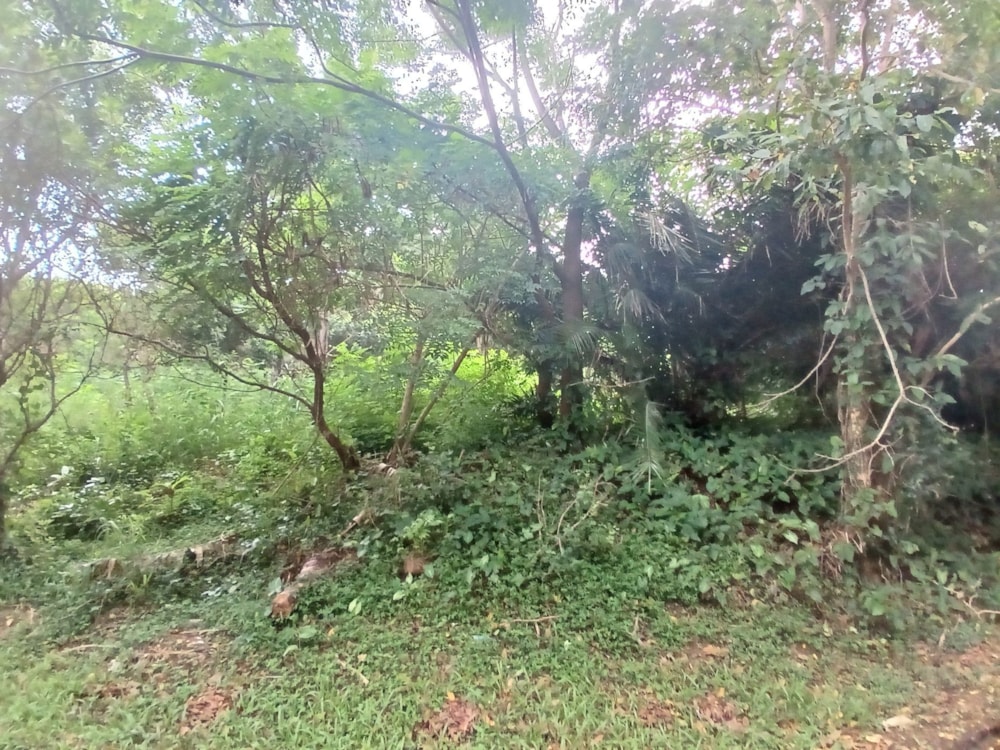 Vacant land for sale in Uvongo - 1PSH1693524 Vacant land for sale in Uvongo - 1PSH1693524