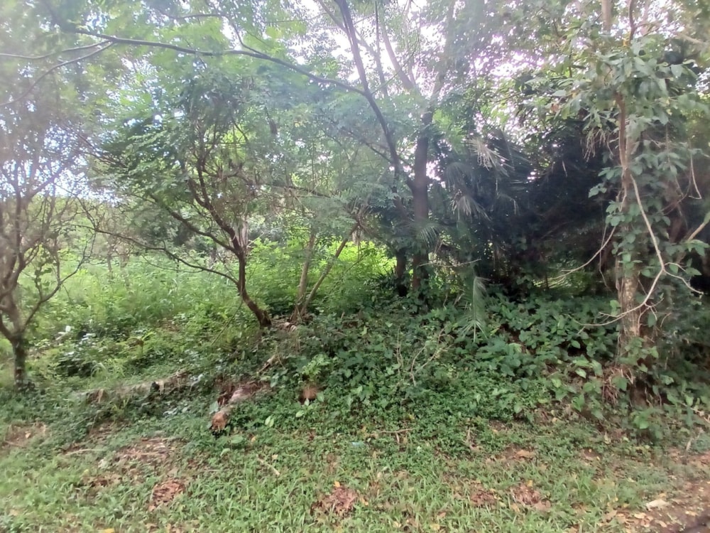 Vacant land for sale in Uvongo - 1PSH1693524 Vacant land for sale in Uvongo - 1PSH1693524