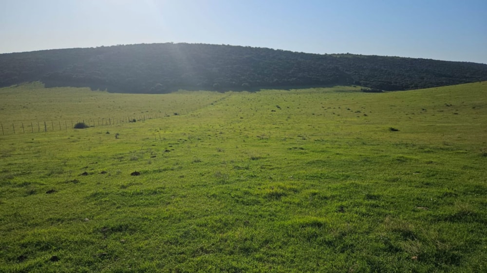 Mixed use farm for sale in Alexandria - 1GC1706646