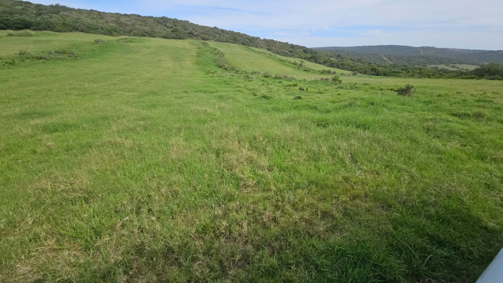 Mixed use farm for sale in Alexandria - 1GC1706646