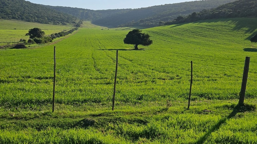 Mixed use farm for sale in Alexandria - 1GC1706646