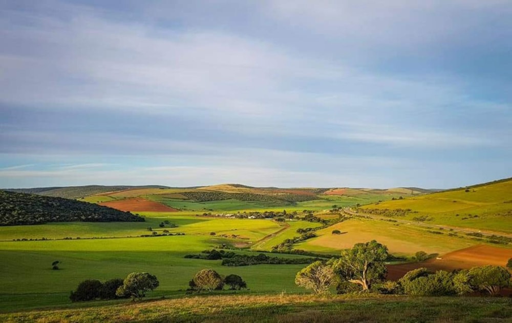 Mixed use farm for sale in Alexandria - 1GC1706646