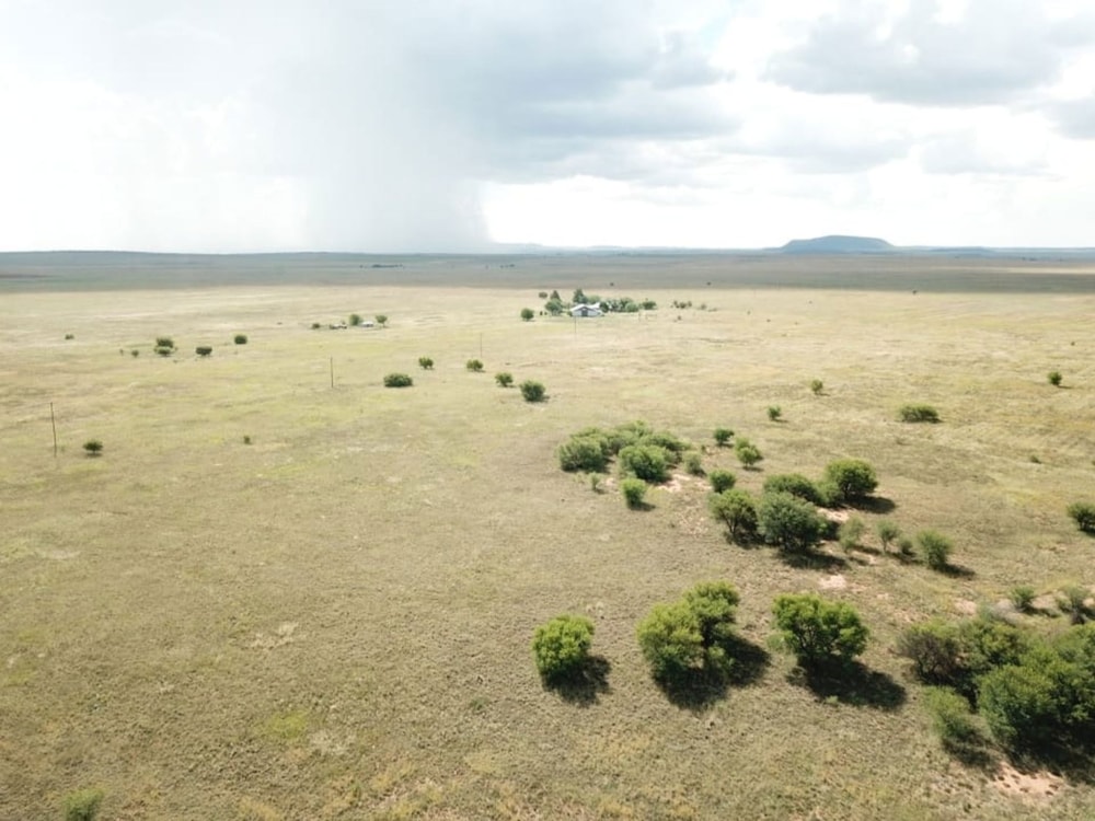 Mixed use farm sold in Bloemfontein Rural - 1BX1694233 Mixed use farm sold in Bloemfontein Rural - 1BX1694233