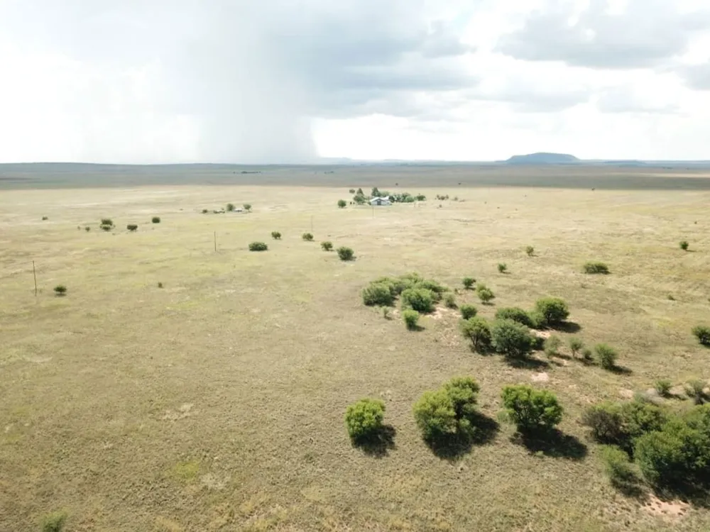 Mixed use farm sold in Bloemfontein Rural - 1BX1694233 Mixed use farm sold in Bloemfontein Rural - 1BX1694233