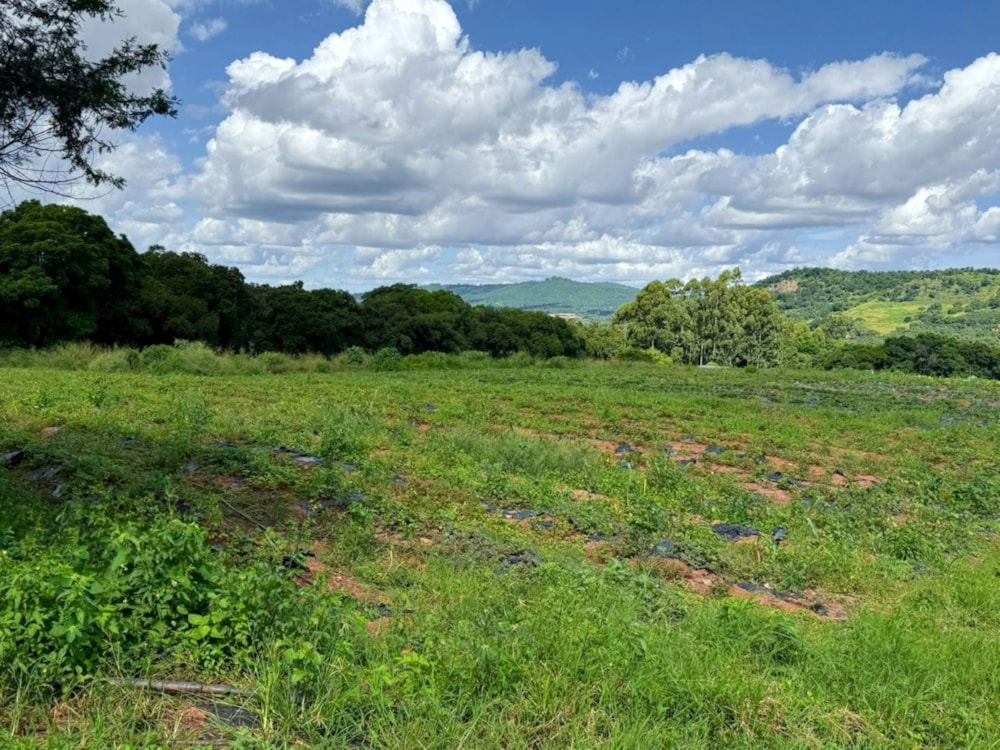 Farm vacant land for sale in Tzaneen, Limpopo Province - 1TA1693708