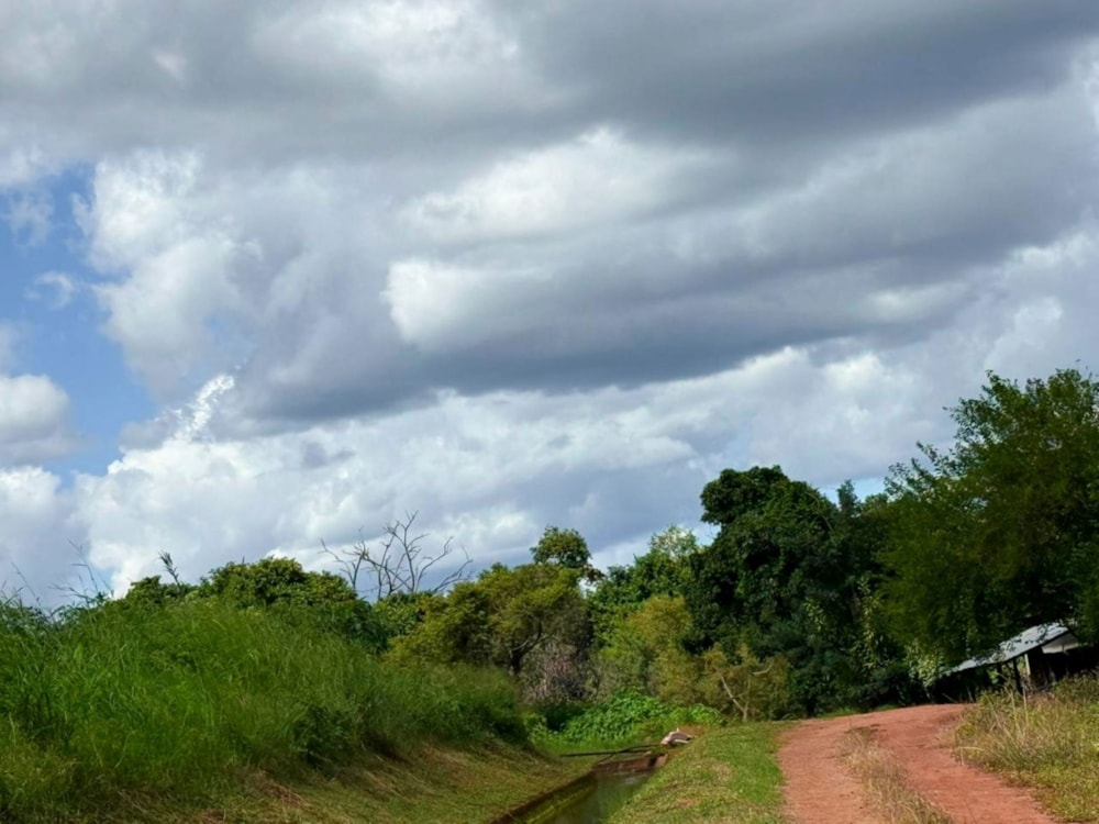 Farm vacant land for sale in Tzaneen, Limpopo Province - 1TA1693708