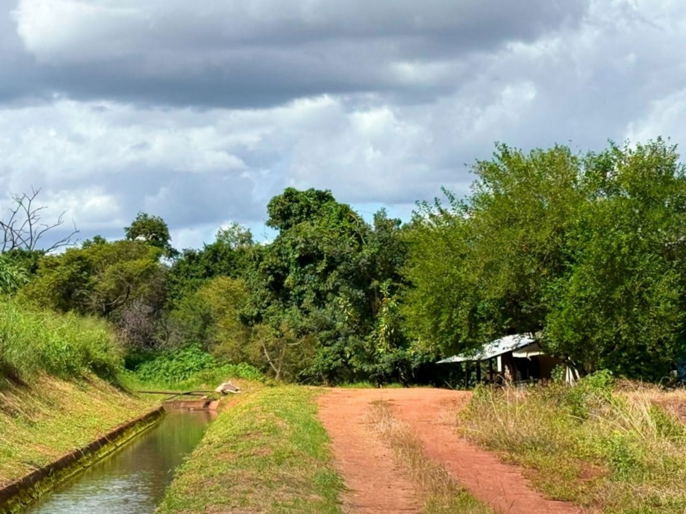Farm vacant land for sale in Tzaneen, Limpopo Province - 1TA1693708